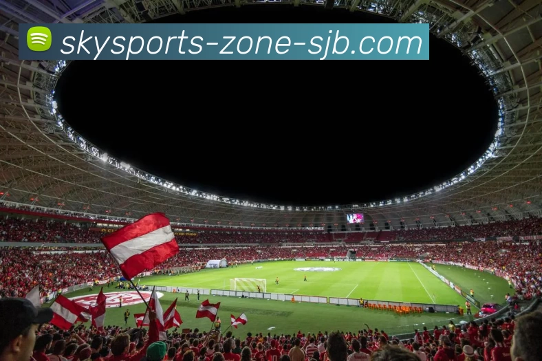 多媒体互动体验